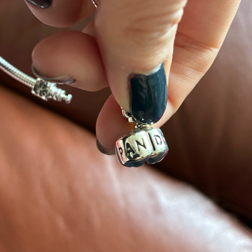 Pandora Silver Charm Bracelet - Picture 6 of 6
